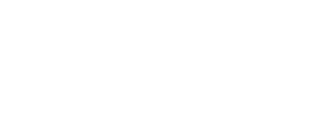 new_logo_vl